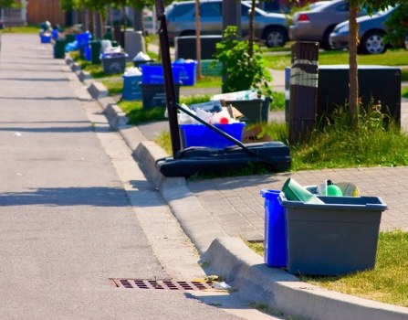 Professional team handling waste removal