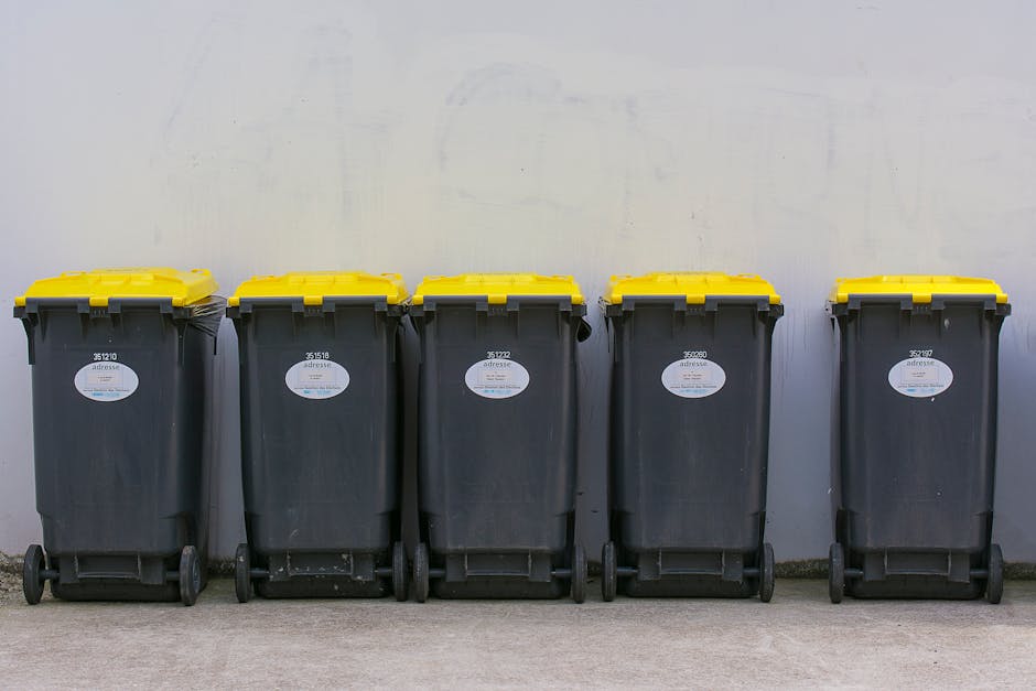 The image shows a large outdoor area used for rubbish collection, with a stack of cardboard boxes containing fresh fruits, with visible branding and colorful labels, arranged in neat piles on the grou